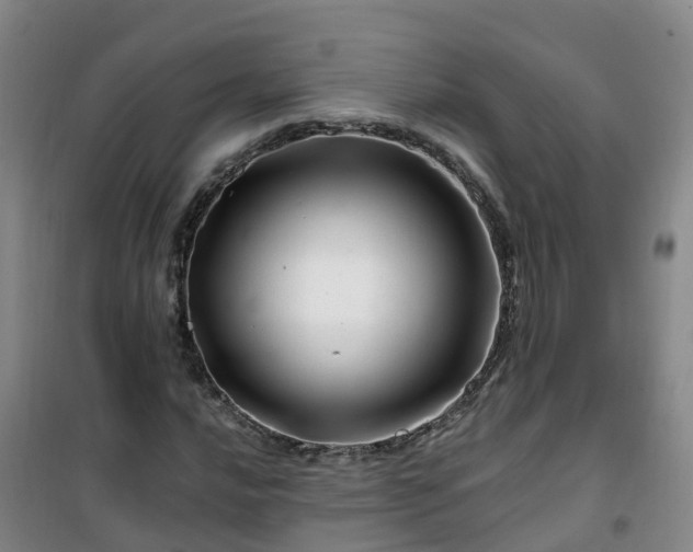 X0000101171016200807111047