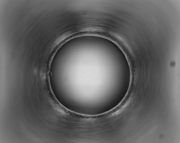 X0000101171017200807111047