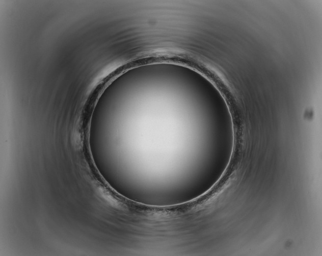 X0000101171018200807111047