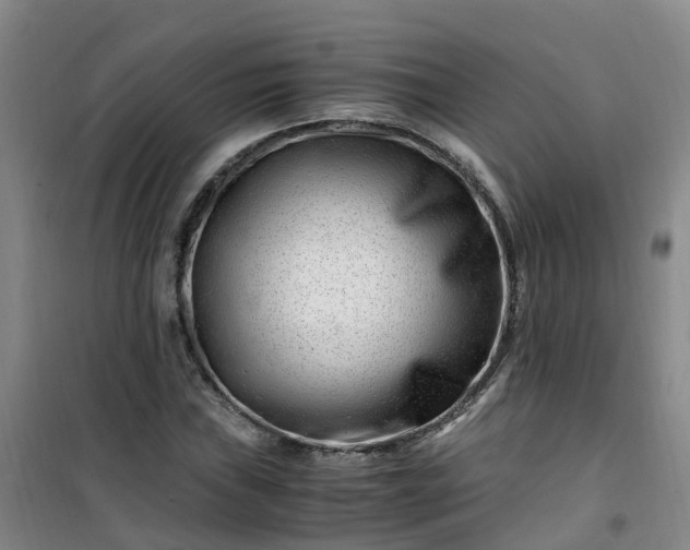 X0000101171019200807111047