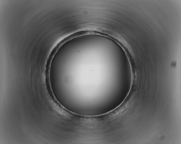 X0000101171020200807111047