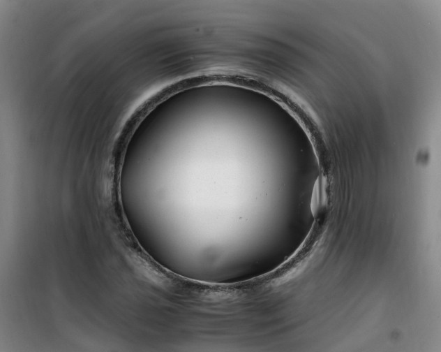 X0000101171021200807111047
