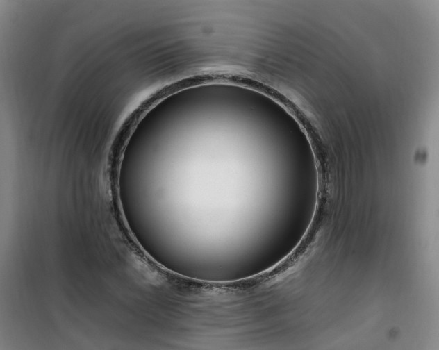X0000101171022200807111047