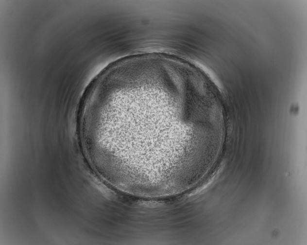 X0000101171023200807111047