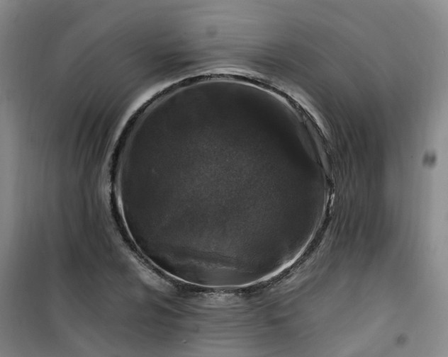X0000101171024200807111047