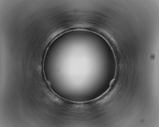 X0000101171025200807111047