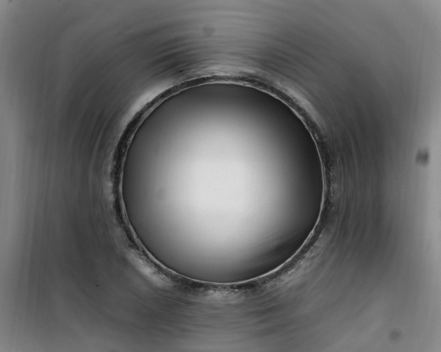 X0000101171026200807111047