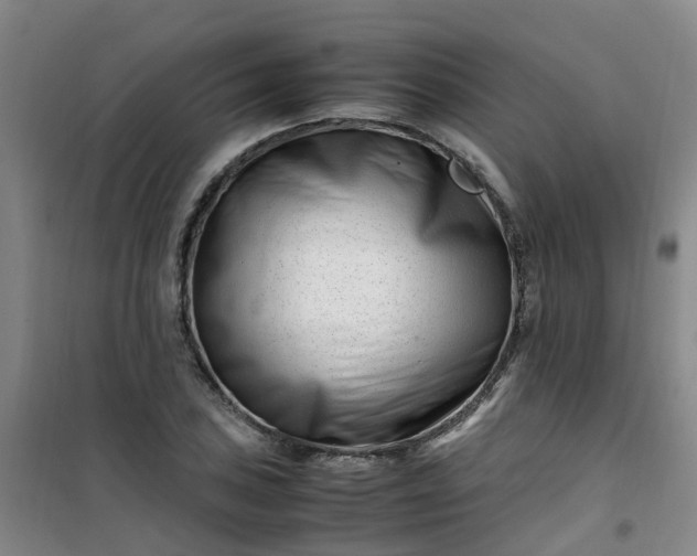 X0000101171027200807111047