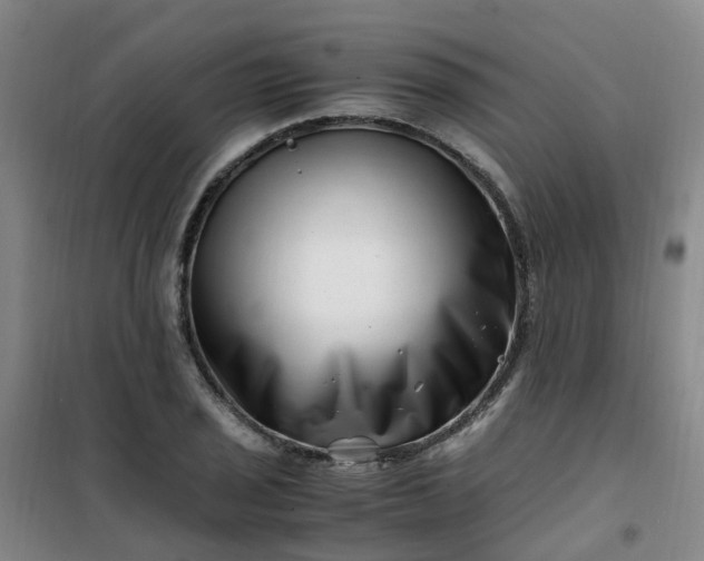 X0000101171029200807111047