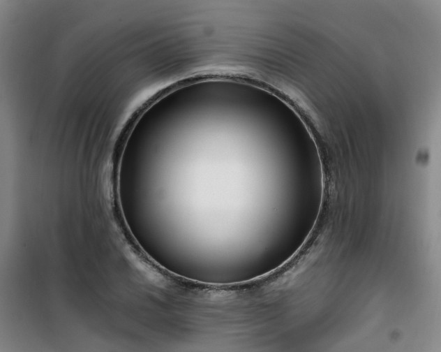 X0000101171030200807111047