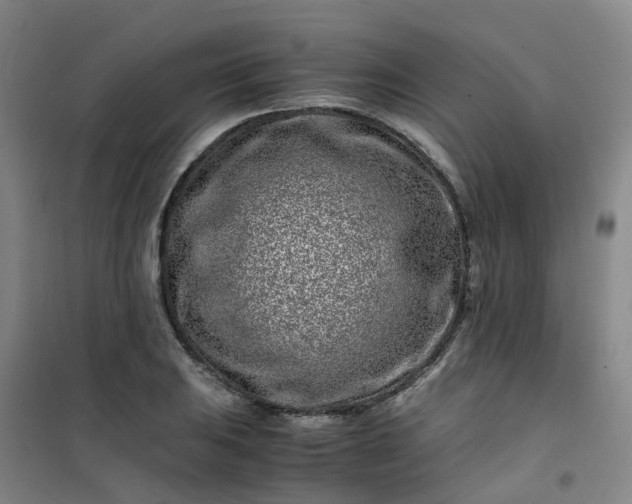 X0000101171031200807111047