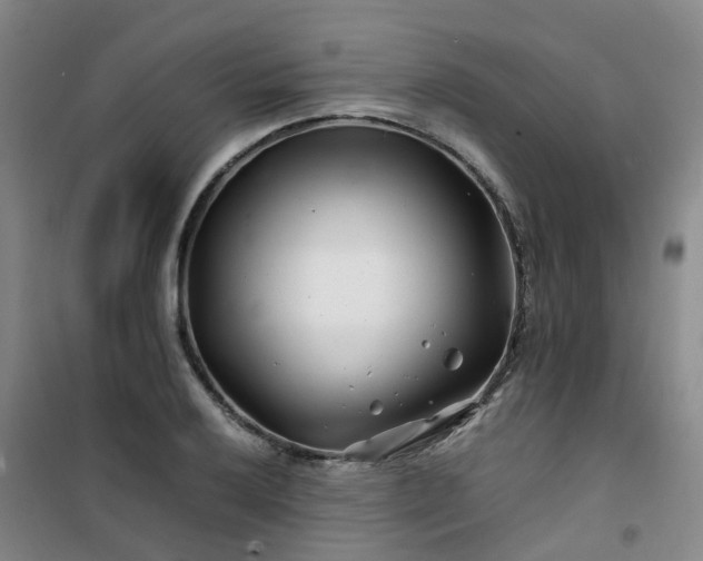 X0000101171032200807111047