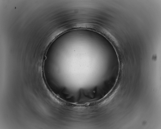 X0000101171033200807111047