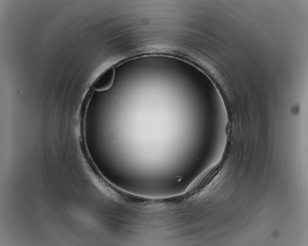 X0000101171034200807111047