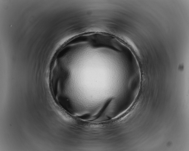 X0000101171035200807111047