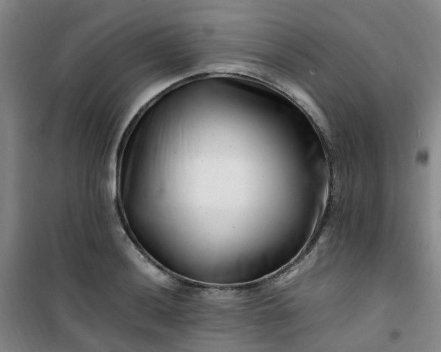X0000101171036200807111047