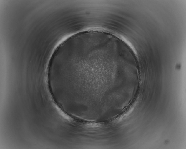 X0000101171037200807111047