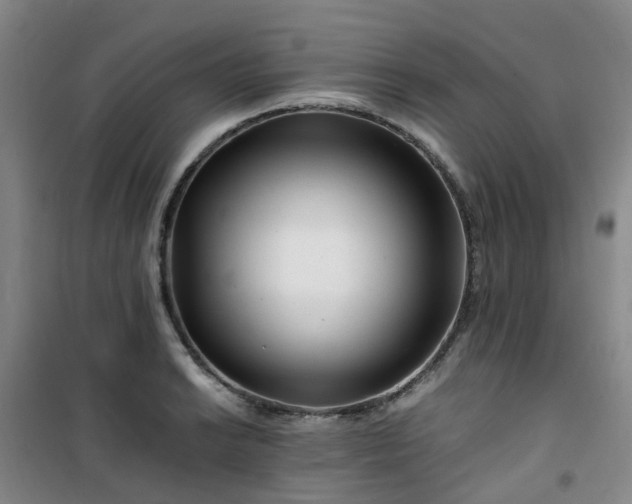 X0000101171038200807111047