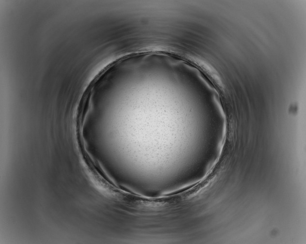 X0000101171039200807111047