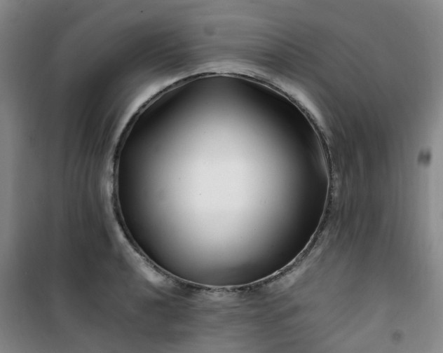 X0000101171040200807111047