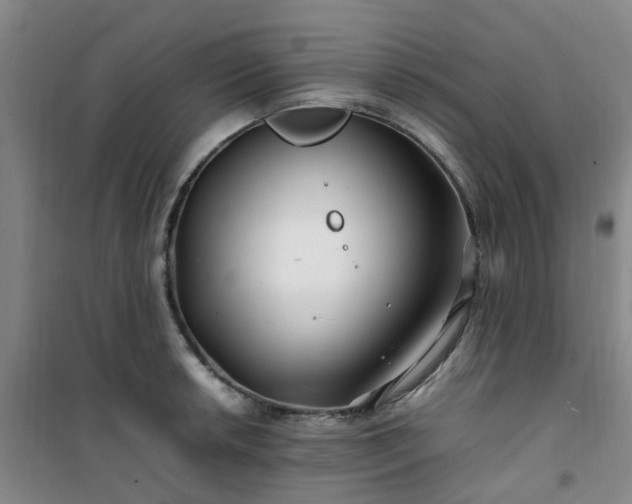 X0000101171042200807111047