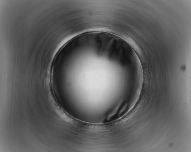 X0000101171044200807111047