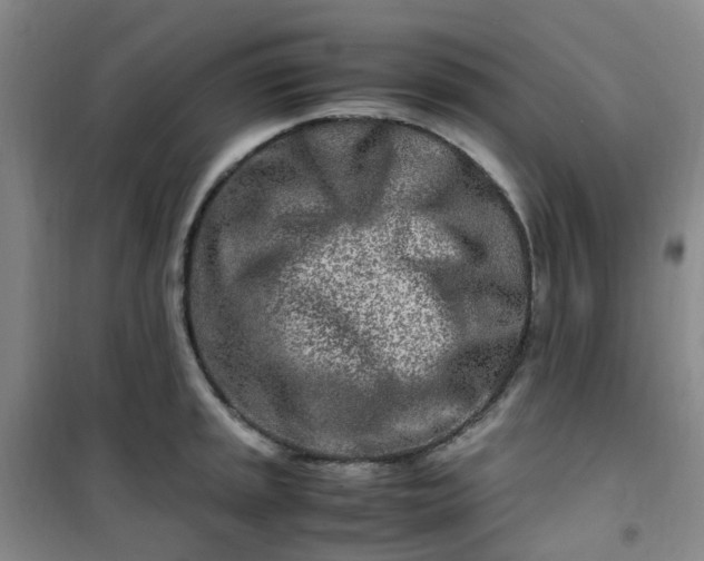 X0000101171045200807111047