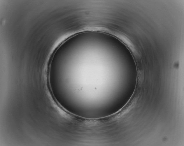 X0000101171046200807111047