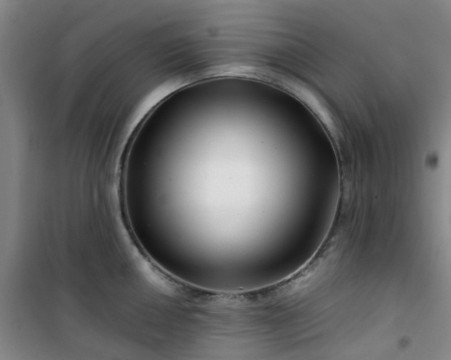 X0000101171050200807111048