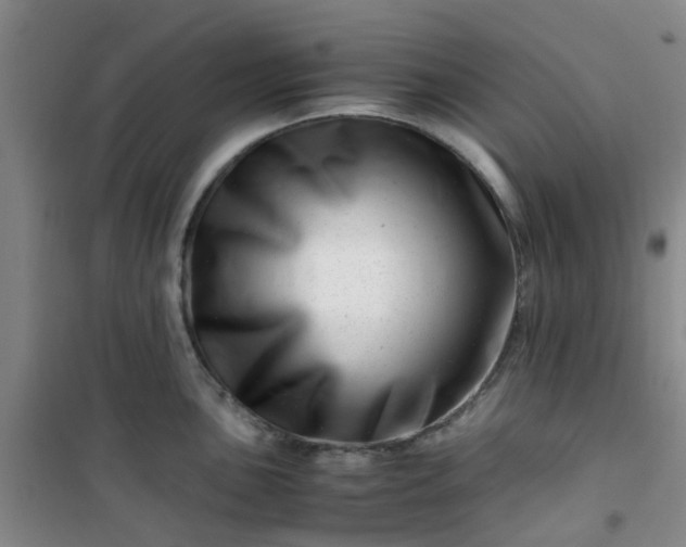 X0000101171051200807111048