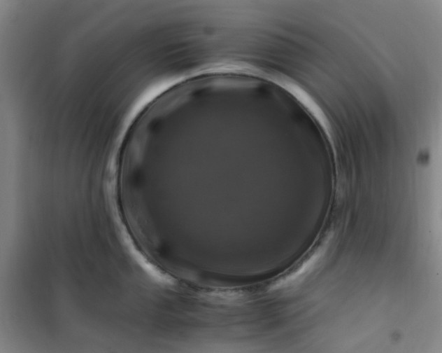 X0000101171053200807111048