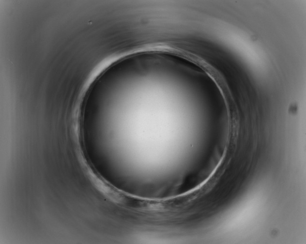 X0000101171054200807111048