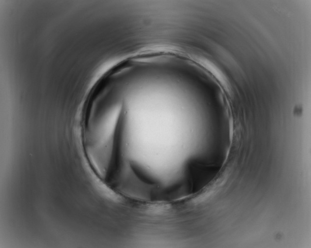 X0000101171055200807111048