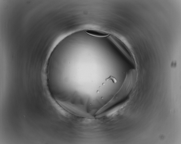 X0000101171056200807111048