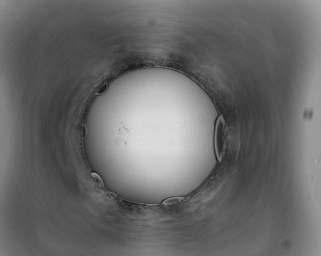 X0000101171057200807111047