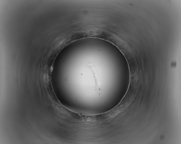 X0000101171058200807111047