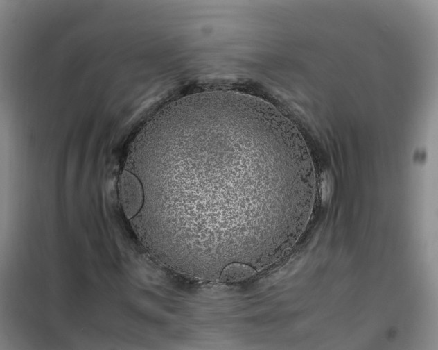 X0000101171059200807111047