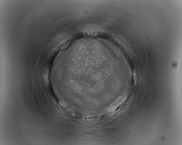 X0000101171060200807111047