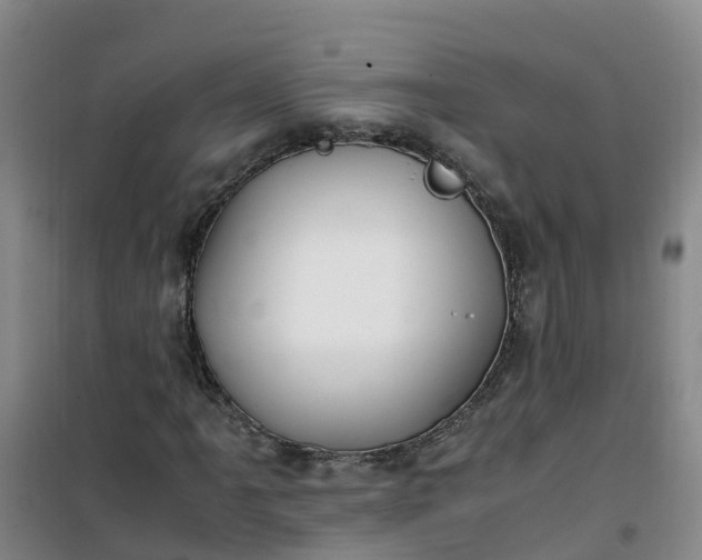 X0000101171061200807111047