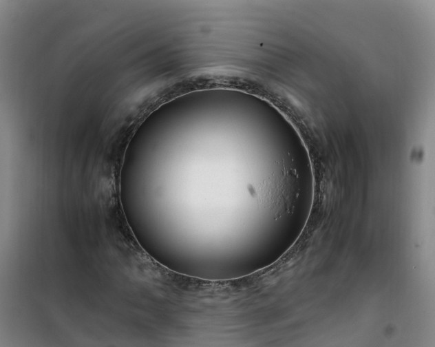 X0000101171062200807111047