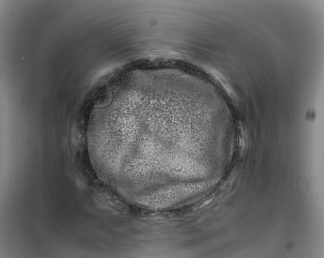 X0000101171063200807111047