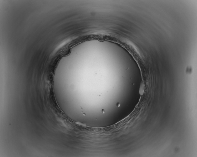 X0000101171064200807111047