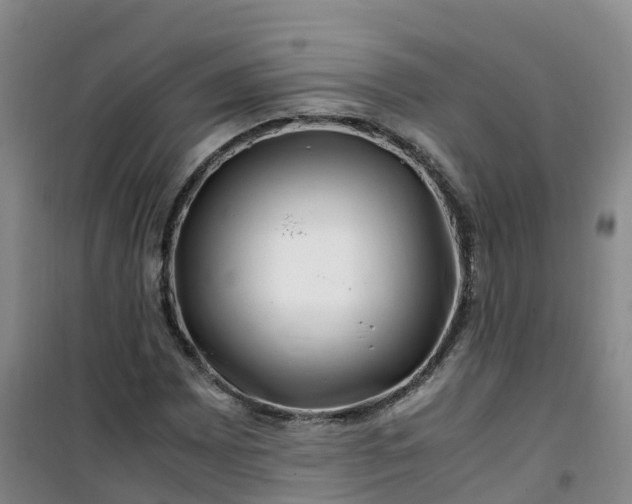 X0000101171065200807111047