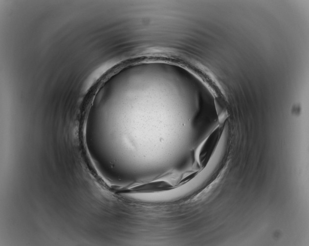 X0000101171066200807111047