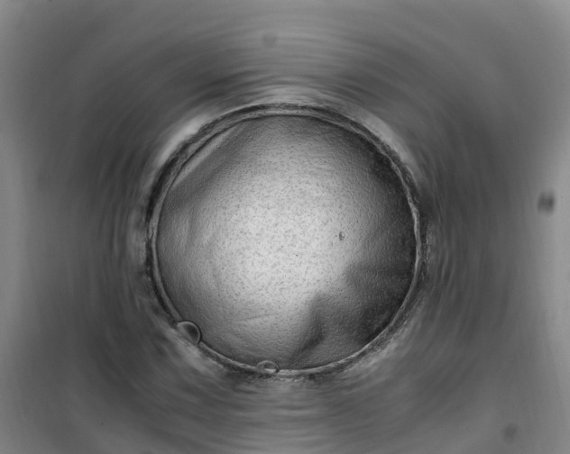 X0000101171067200807111047