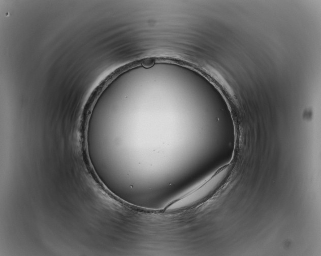 X0000101171068200807111047