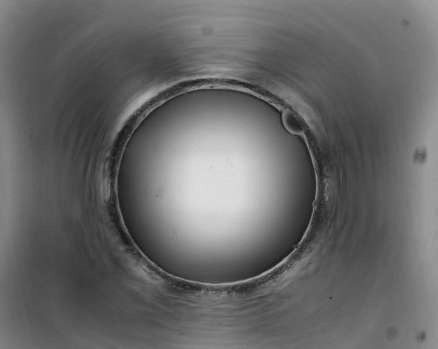 X0000101171069200807111047