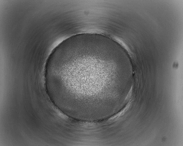 X0000101171071200807111047