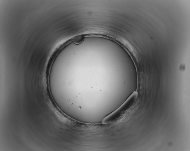 X0000101171072200807111047