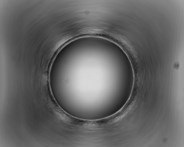 X0000101171073200807111047